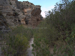 Rambla Perea-Mula 2018